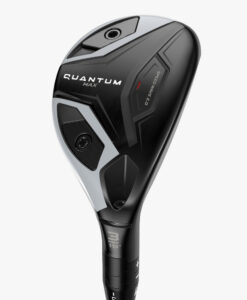 Quantum Max Hybrids